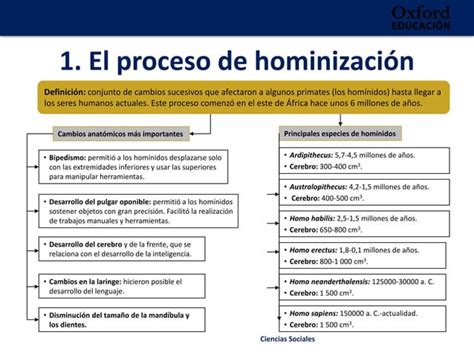 PREHISTORIA PALEOLITICO Ppt Descarga Gratuita