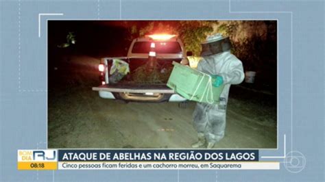 Cachorro Morre E Pelo Menos Cinco Pessoas Ficam Feridas Ap S Ataque De