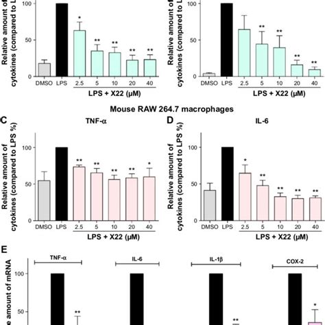 X22 Inhibited LPS Induced Inflammatory Cytokine Expression In Vitro