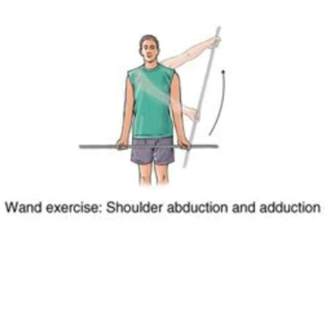 Shoulder Abduction Adduction By Ryan Brubacher Exercise How To Skimble