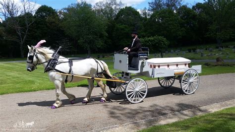 Horse Drawn Funerals Carriage Limousine Service Horse Drawn Funeral