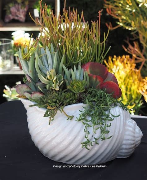 My Sea Themed Potting Demo At Roger S Gardens Debra Lee Baldwin