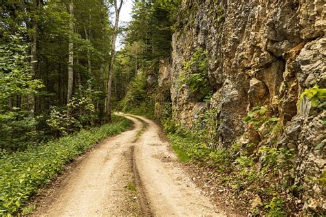 Wanderweg Fels Wald Kostenloses Foto Auf Pixabay Pixabay