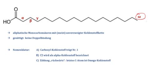 Block VI Lipide Flashcards Quizlet