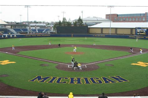 Michigan wolverines