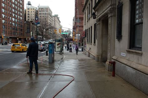 Is Sam a Dangerous Dog? A Lawsuit Divides an Upper West Side Building