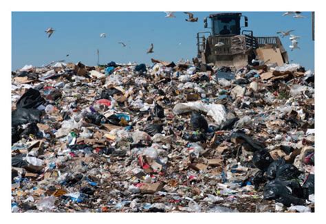 An open dump landfill (reprinted from HelpSave Nature,... | Download ...