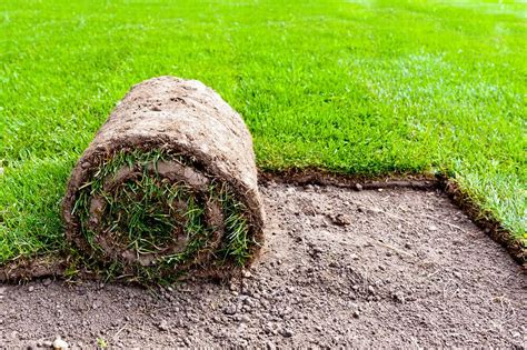 How To Create A Perfect Lawn