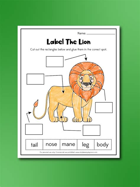 Lion Worksheets For Kids [Free Printable] - Worksheets Library