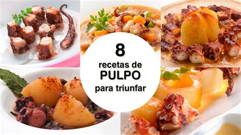 El Pulpo Tiene Grasa Descubre La Verdad Y Beneficios Para La Salud