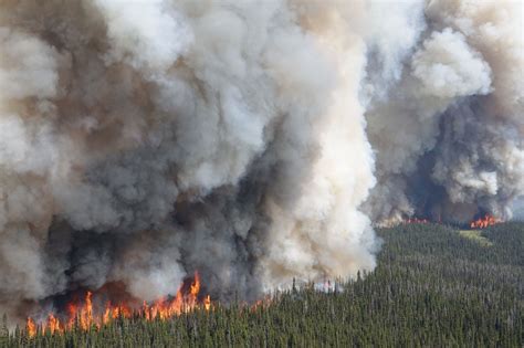 El Humo De Los Incendios Forestales Causa 12000 Muertes Al Año