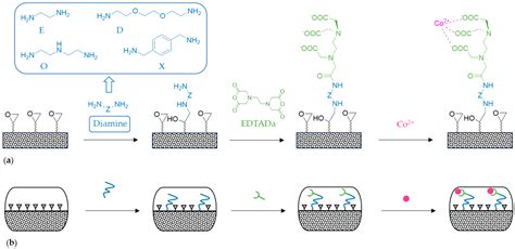 Catalysts Free Full Text Upgrading Epoxy Supports For Enzyme