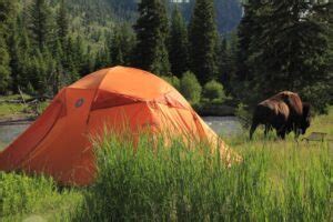 Yellowstone Camping Reservations: Secrets You Need To Know