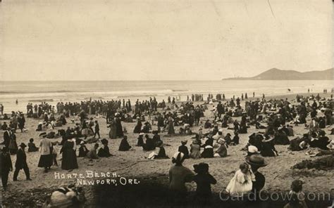 Agate Beach Newport, OR Postcard