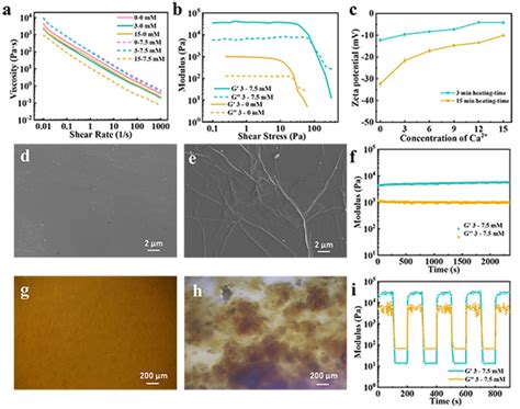 浙江大学秦发祥研究员团队 Afm 高精度3d打印还原氧化石墨烯气凝胶胶带中国聚合物网科教新闻