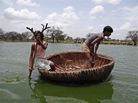 Download free photo of Coracle,fishing,wetland,bird sanctuary,nature ...