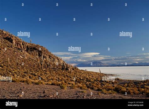 Fish Island à Salar de Uyuni Salar de Tunupa le plus grand plat de