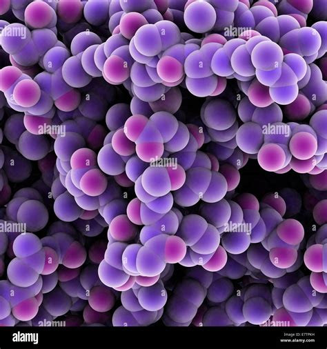 Biomolecules Hi Res Stock Photography And Images Alamy