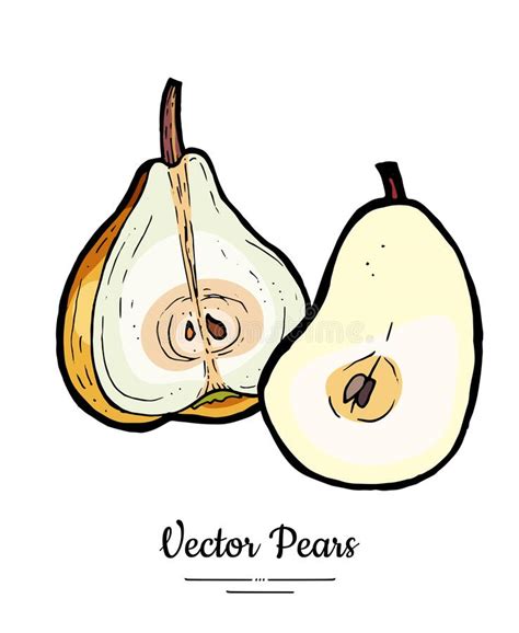 Pears Fruit Vector Isolate Yellow Pear Whole Chopped Half Cut Slice