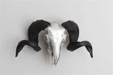 Ram Skull In Plated Silver Ram Wall Mount Real Ram Skull Etsy