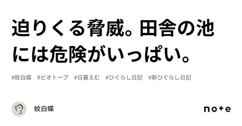 迫りくる脅威。田舎の池には危険がいっぱい。｜紋白蝶