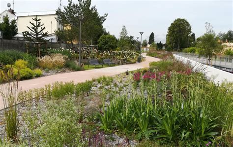 Marcel Villette Lague Son Tour De Table Cfnews