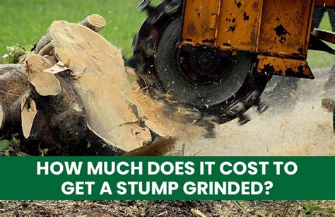 How Much Does It Cost To Get A Stump Grinded In Melbourne