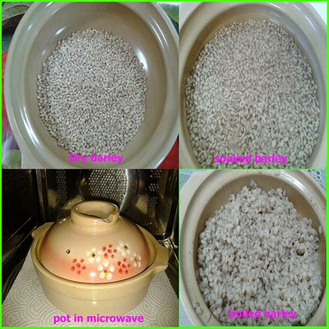 How To Cook Barley In Microwave Northernpossession24