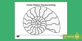 Ks Fossil Colouring Sheets Hecho Por Educadores Twinkl