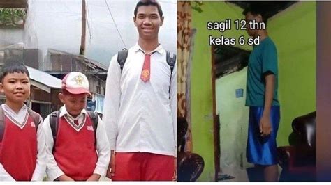 Viral Murid SD Di Jambi Memiliki Tinggi Badan Capai 2 Meter Cita