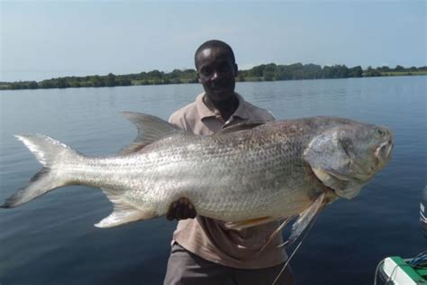 Pêche au Gabon dans la Lagune d Iguela Loando Lodge