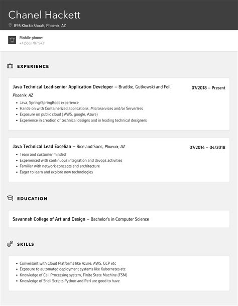 Java Technical Lead Resume Samples Velvet Jobs