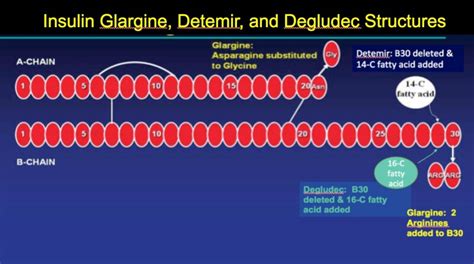 Figure Insulin Glargine And Detemir Structures Endotext Ncbi