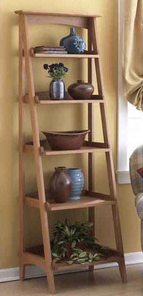 Ladder Shelves Woodworking Plan WoodworkersWorkshop