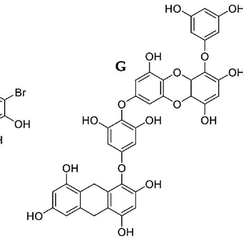 Chemical Structure Of Carotenoids A β Carotene B Fucoxanthin