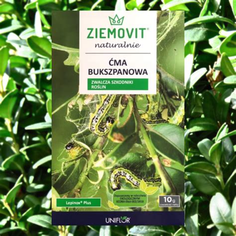 ZIEMOVIT Ćma bukszpanowa Lepinox Plus 10 g SKUTECZNY PREPARAT