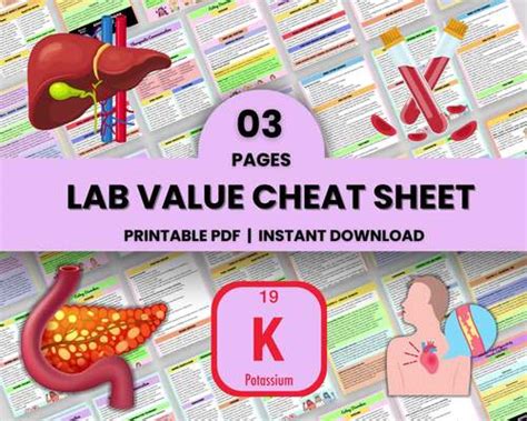 Lab Values Cheat Sheet 3 Pages Nursing Note Nurse Cheat Sheet