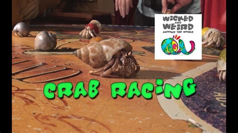 Sydney Crab Races Wicked And Weird Around World Youtube