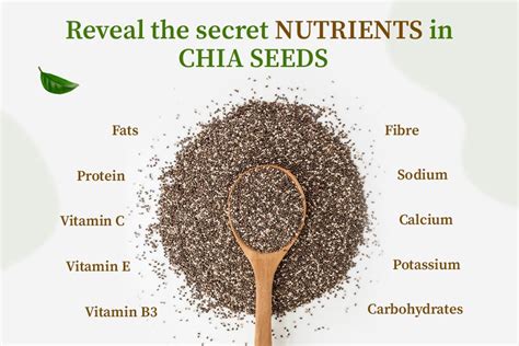 Chia Seeds101 Nutrition Benefits And Tips Organic Gyaan