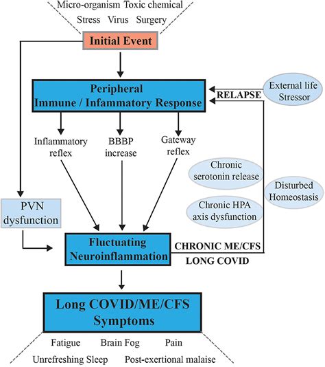 Frontiers Molecular Mechanisms Of Neuroinflammation In Me Cfs And