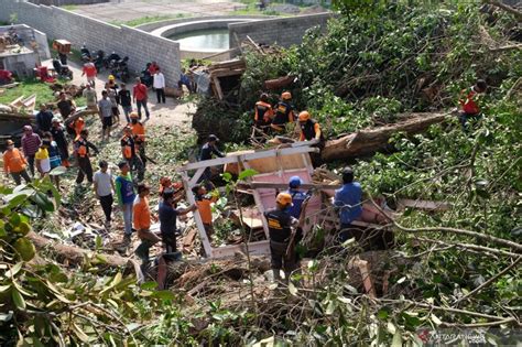 Pohon Tumbang Renggut Dua Nyawa Warga ANTARA News