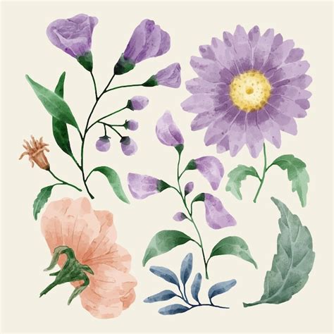 Free Vector A Set Of Flowers Painted With Watercolors To Accompany