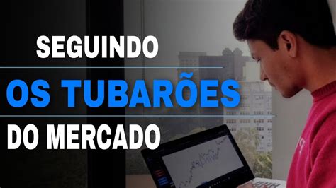 Como Acompanhar Os Movimentos Dos Big Players Do Mercado Financeiro