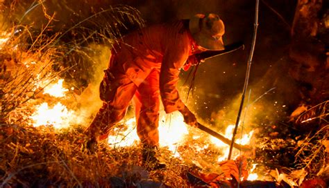 Hasta Hect Reas Consumidas Por Incendio Forestal En San Jos