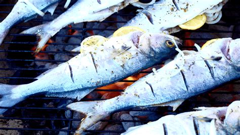 Best Fish To Smoke Top 10 Smoking Choices For The Seafood Lover