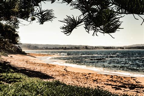 Free Images Beach Landscape Sea Coast Tree Nature Ocean