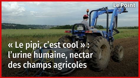 Le Pipi Cest Cool Lurine Humaine Nectar Des Champs Agricoles