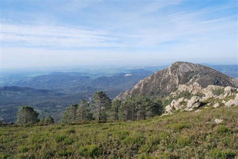 Alcal De Los Gazules Archivos La Provincia De C Diz