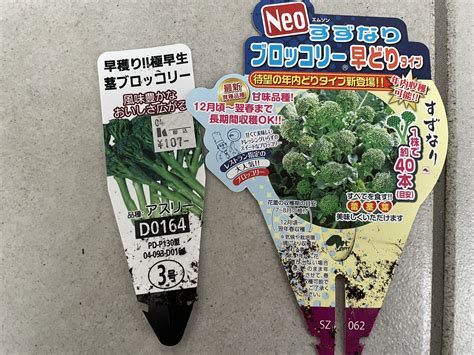 くぅちゃんの菜園 On Twitter 家庭菜園 プランター栽培 秋冬野菜 ブロッコリー2苗 プランターで、ネット掛けていますが