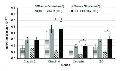 Effects Of Bdl And Ghrelin On Gene Expression In Colonic Tissues Mice